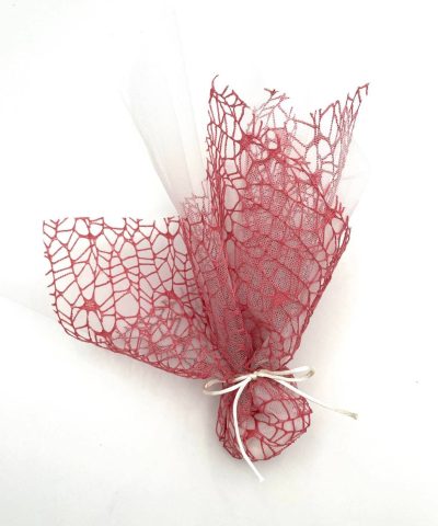 343161350_248798697642684_9059389524149993207_n