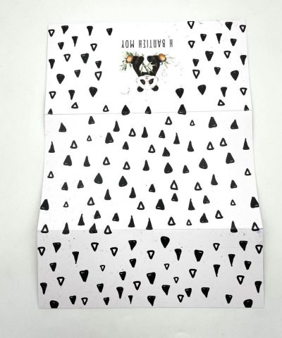 342727505_1347354036045353_145220428131530428_n