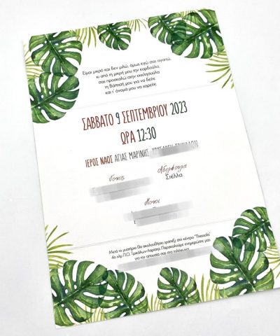 415307779_382560524351881_7950756473685671737_n